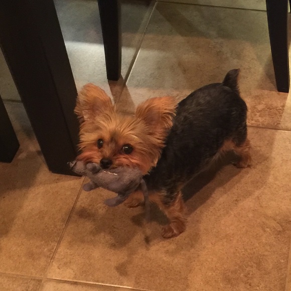 Meet your Posher, Katherine - Picture 7 of 8